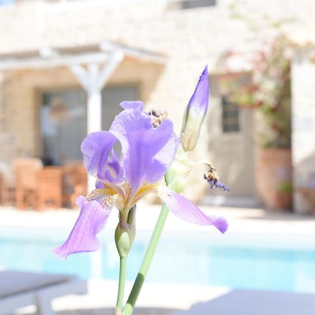 Laini Luxury Suites Pombia Esterno foto