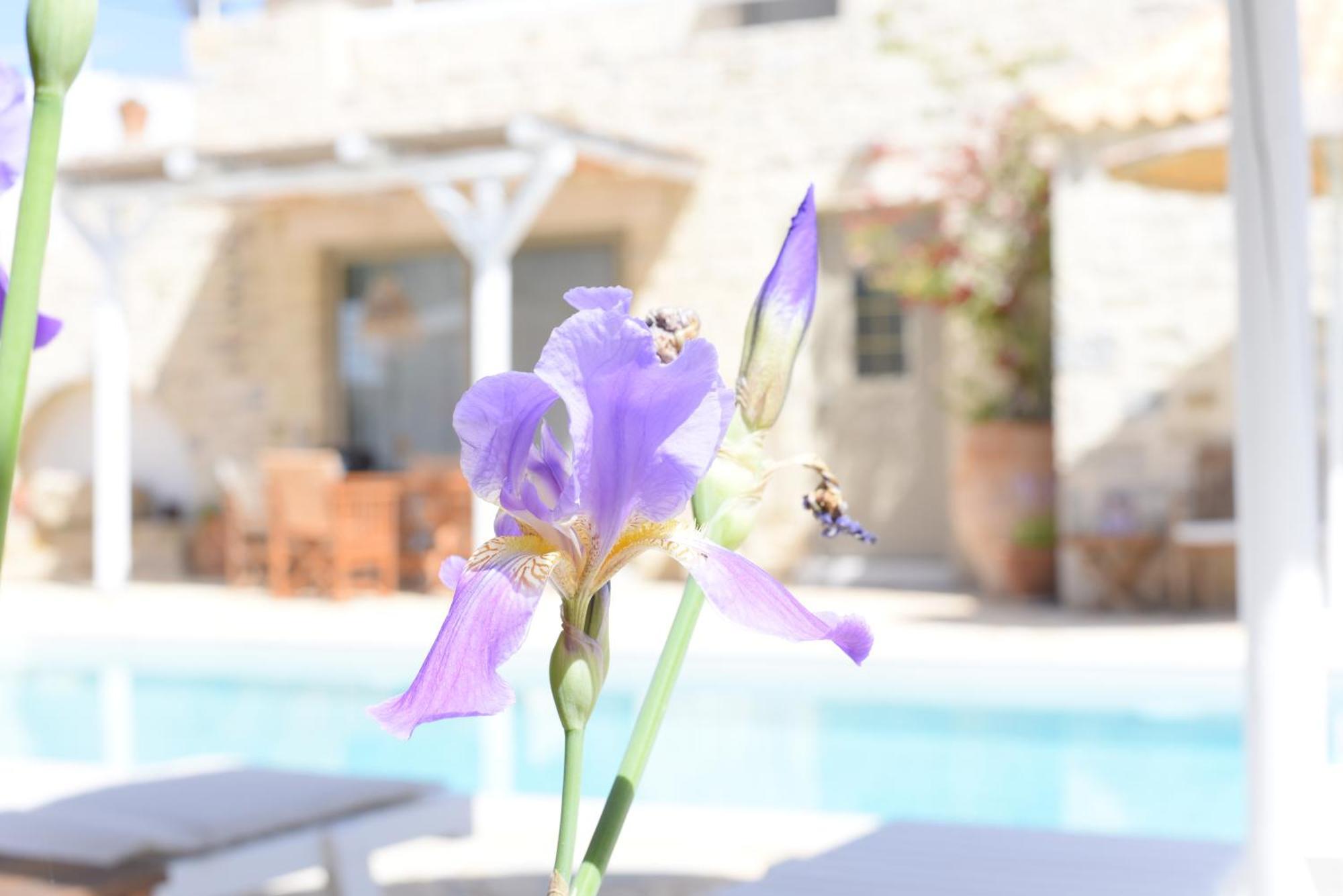 Laini Luxury Suites Pombia Esterno foto